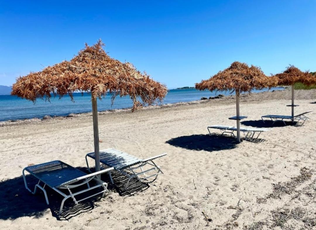 Alexandra Apartment 9 ليفكيمي المظهر الخارجي الصورة