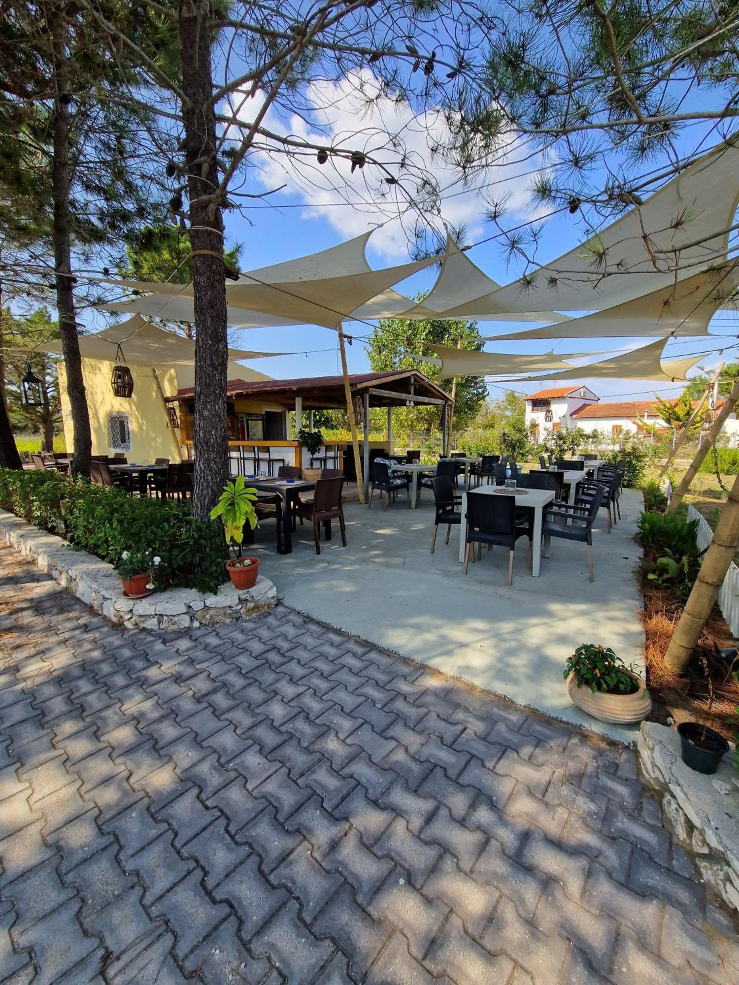 Alexandra Apartment 9 ليفكيمي المظهر الخارجي الصورة